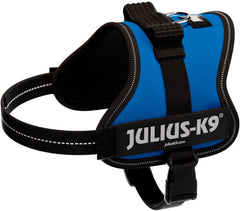 Julius-K9 Powerharness Mini-Mini (XS) 40-53cm/22mm, Blue