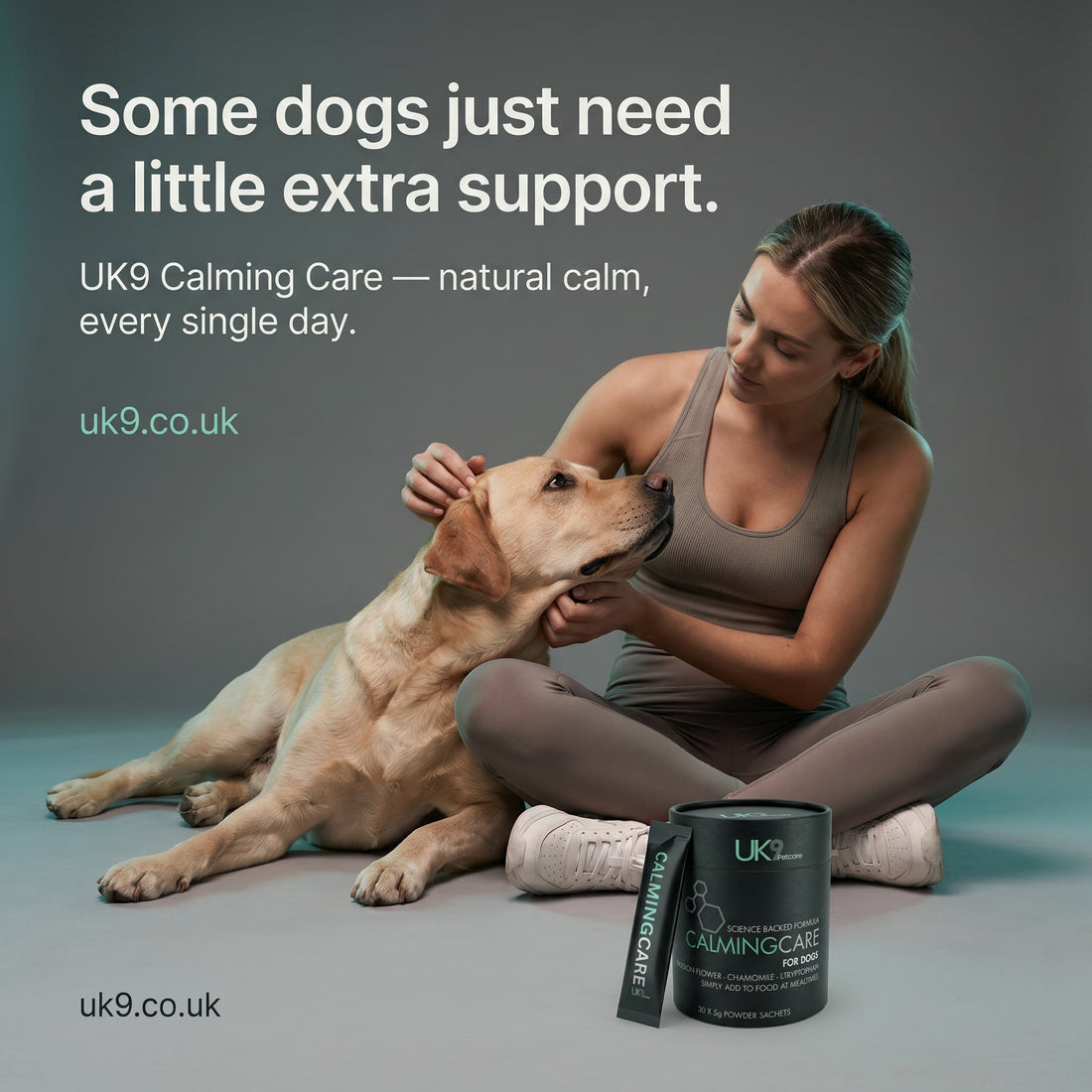 How to Calm an Anxious Dog Naturally: What Actually Works UK9 Petcare