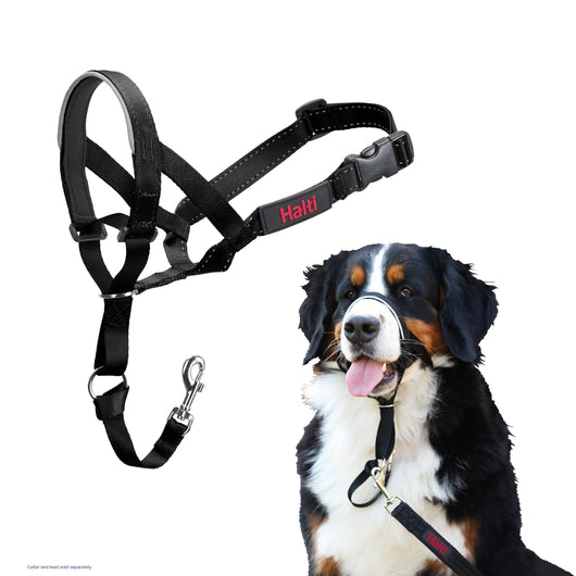 Halti Headcollar, Size 1, Black