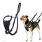 Halti No Pull Harness, X-Small, Black