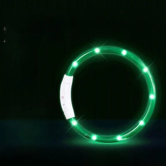 LED Glowing Dog Collar Teamdrop