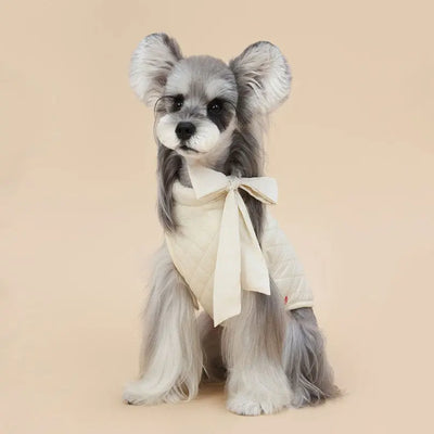Bow Detail Winter Coat for Small Dogs Teamdrop