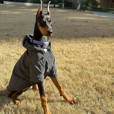 Large Dog Trendy Coat Teamdrop