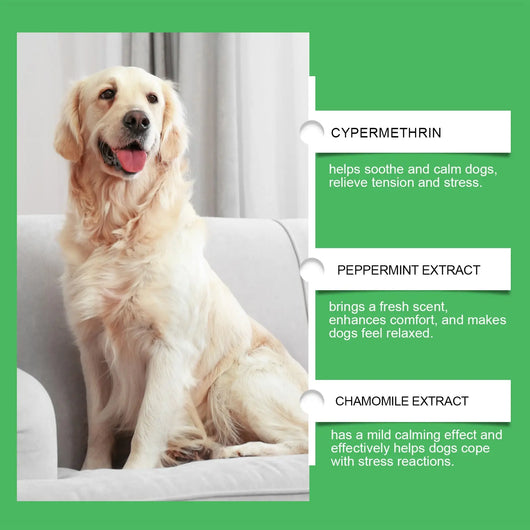 Dog Calming Diffuser Teamdrop