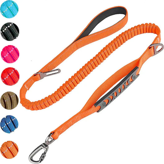 Elastic Dog Leash with Car Safety Clip Teamdrop