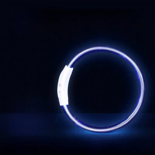LED Glowing Dog Collar Teamdrop
