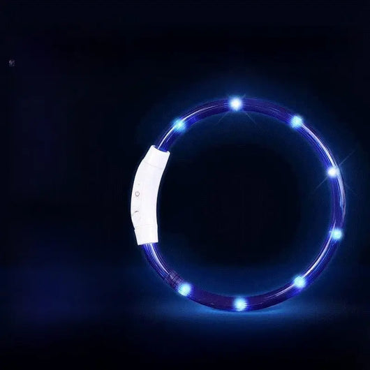 LED Glowing Dog Collar Teamdrop