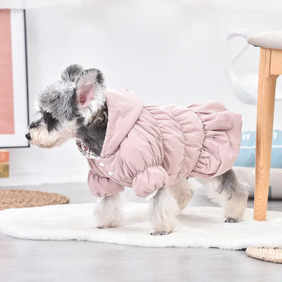 Small Dog Coat Teamdrop