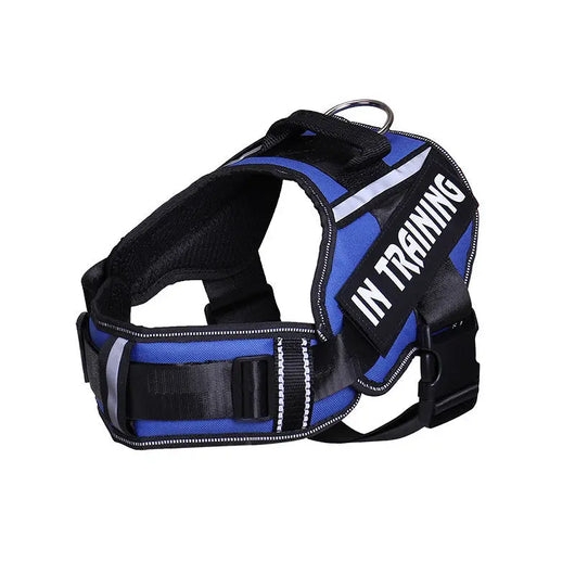 Reflective Dog Chest Harness & Lead Set EPROLO