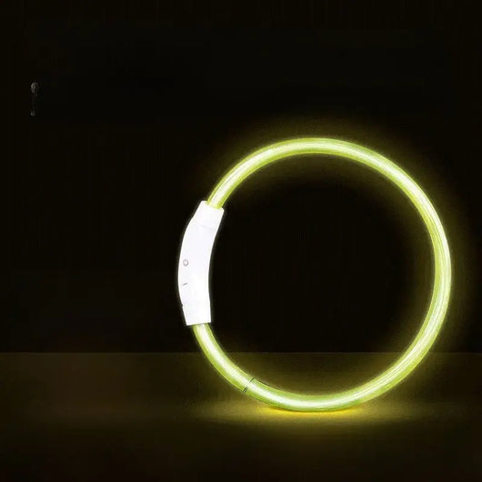 LED Glowing Dog Collar Teamdrop