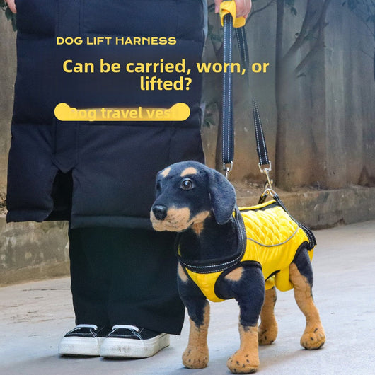 Adjustable Dog Carry Aid Teamdrop