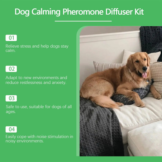 Dog Calming Diffuser Teamdrop
