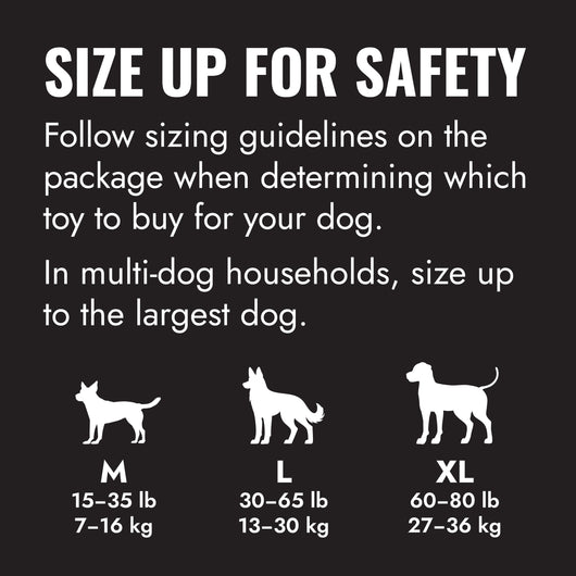 KONG Goodie Bone Extreme Large (21.5cm) — size up for safety