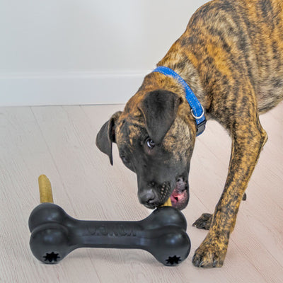 KONG Extreme Goodie Bone XL EU — lifestyle
