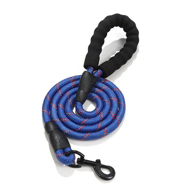 Reflective Nylon Dog Lead Teamdrop