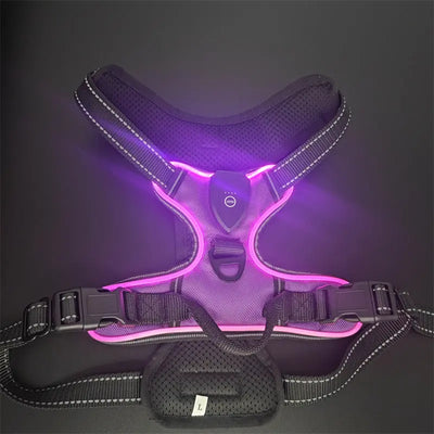 LED Light-Up Dog Harness Teamdrop