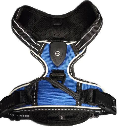 LED Light-Up Dog Harness Teamdrop