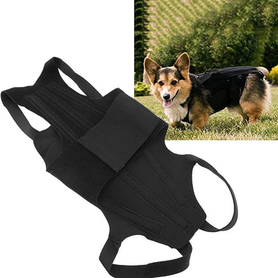 Dog Back Support Vest Teamdrop