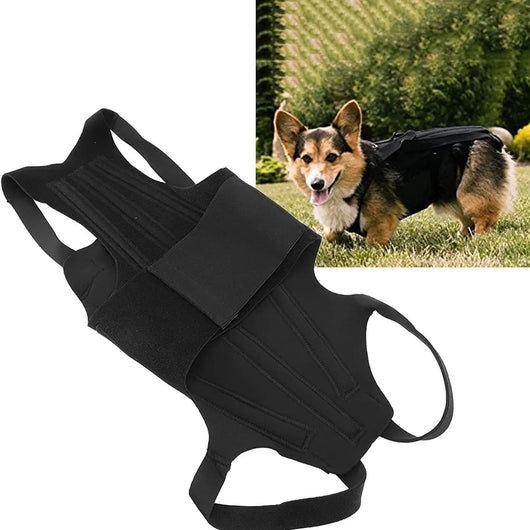 Dog Back Support Vest Teamdrop