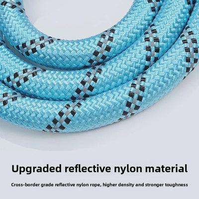 Reflective Nylon Dog Lead Teamdrop