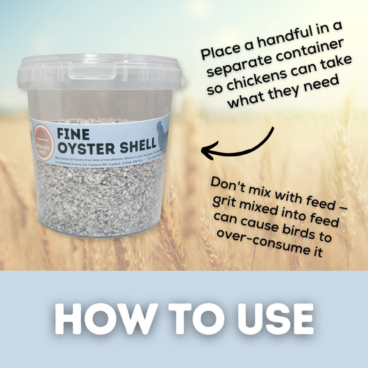 Oyster Shell Grit, Fine, 25kg