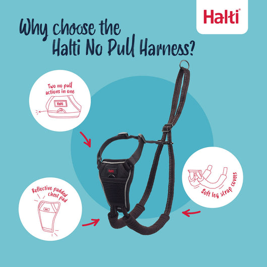 Halti No Pull Harness, X-Small, Black