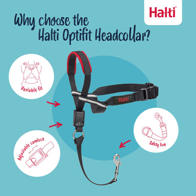 Halti Optifit Headcollar, Large, Black