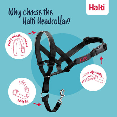 Halti Headcollar, Size 1, Black