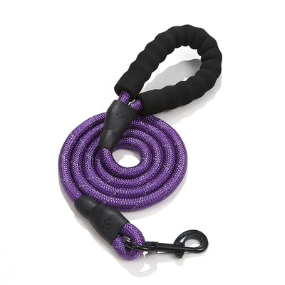 Reflective Nylon Dog Lead Teamdrop