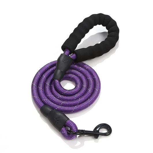 Reflective Nylon Dog Lead Teamdrop