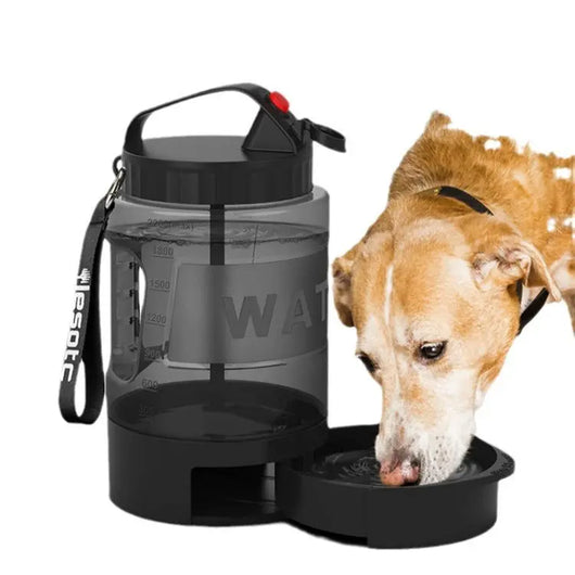 2.2L Large Capacity Dog Water Kettle Teamdrop