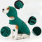 Lightweight Dog Vest