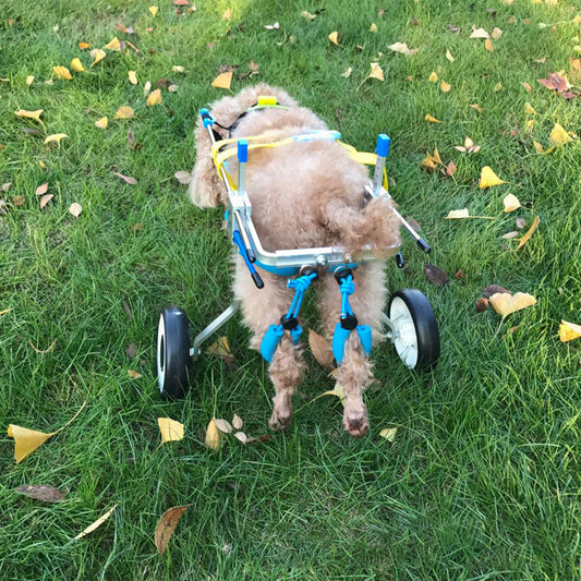 Dog Wheelchair eprolo