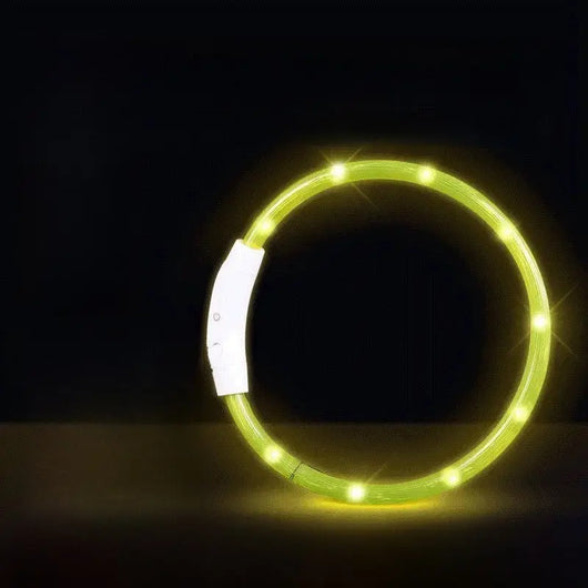 LED Glowing Dog Collar Teamdrop