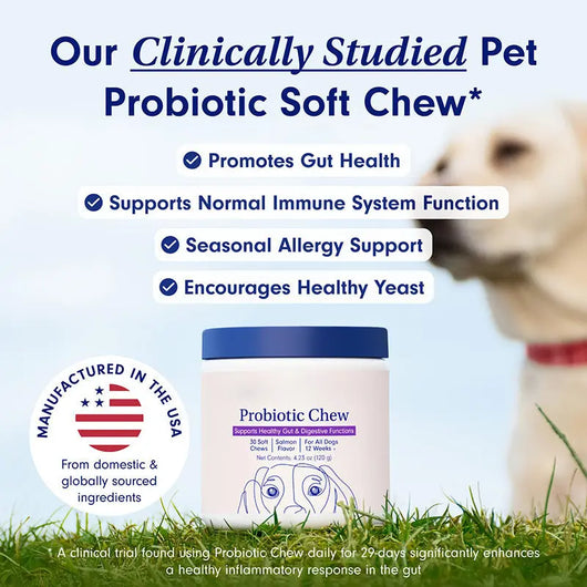 Dog Probiotic Supplement Teamdrop