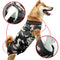 Post-Op Recovery Suit for Dogs