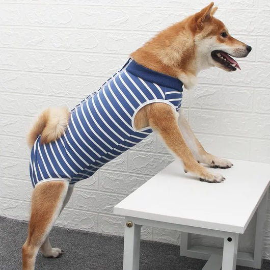 Post-Op Recovery Suit for Dogs EPROLO