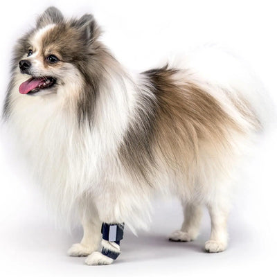 Dog Leg Protectors Teamdrop