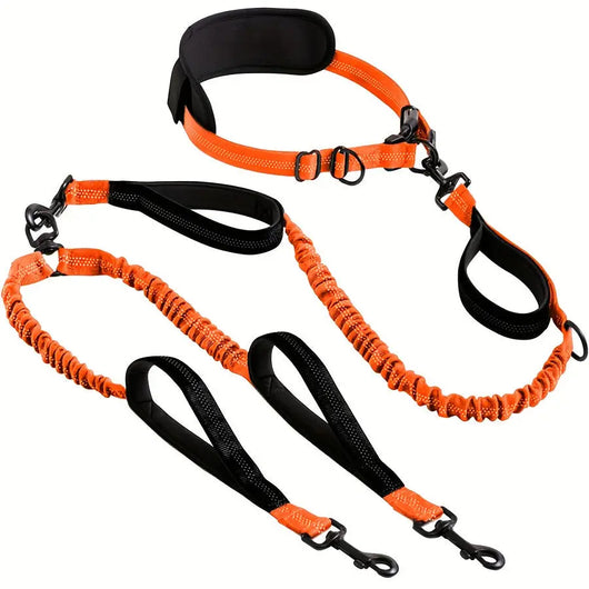 Dual Retractable Dog Lead (Two Dogs) Teamdrop