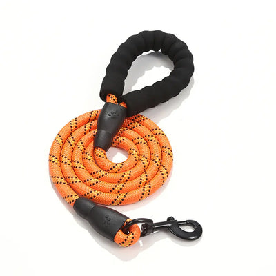Reflective Nylon Dog Lead Teamdrop