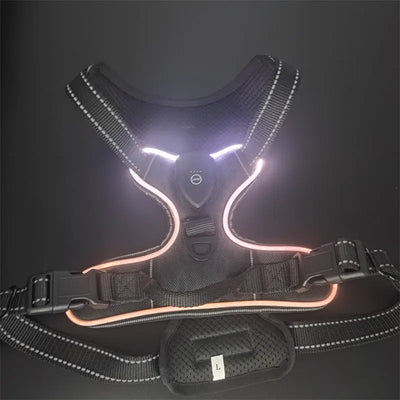 LED Light-Up Dog Harness Teamdrop