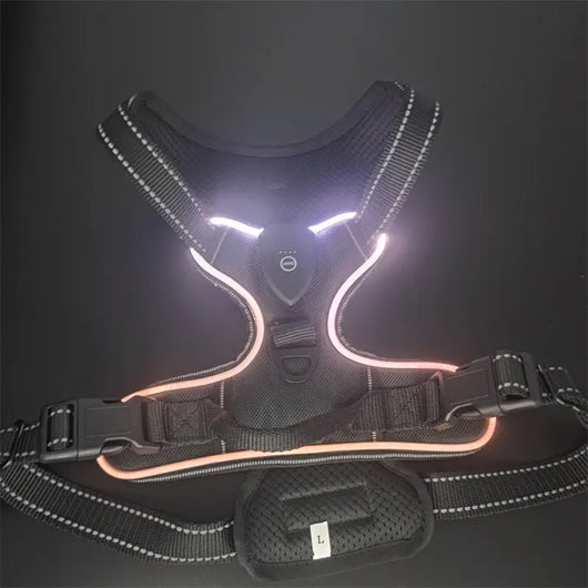 LED Light-Up Dog Harness Teamdrop