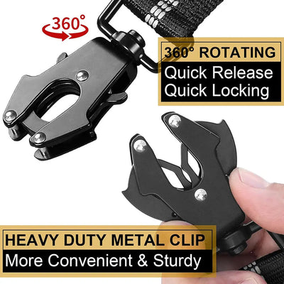 Shock-Absorbing Bungee Dog Lead Teamdrop