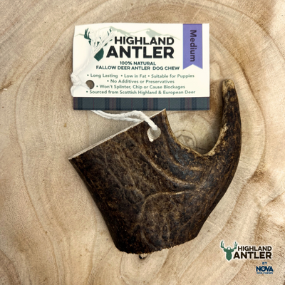 Nova Highland Fallow Deer Antler Dog Chew Medium