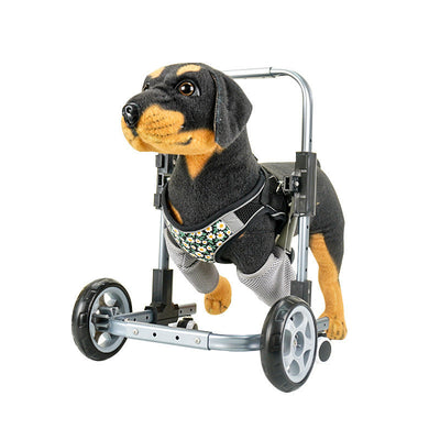 Pet Walker Teamdrop