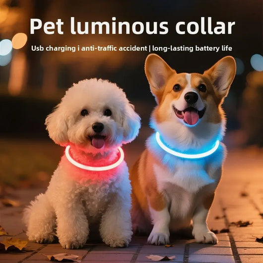 LED Glowing Dog Collar Teamdrop