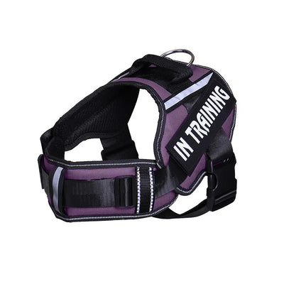 Reflective Dog Chest Harness & Lead Set EPROLO