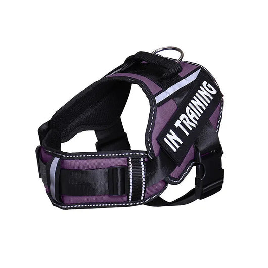 Reflective Dog Chest Harness & Lead Set EPROLO