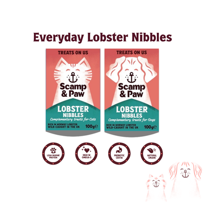 Scamp & Paws Cat Everyday Lobster Complete Dry Food 1.5kg Scamp and Paw