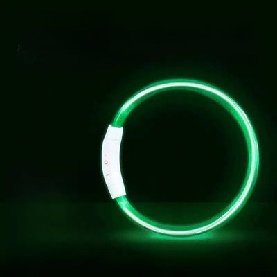LED Glowing Dog Collar Teamdrop